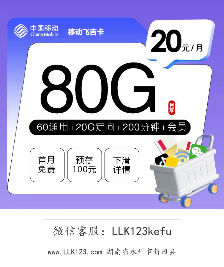 湖南省永州市新田县移动飞吉卡【20元80G+200分钟+会员】-图1 https://img.llk123.com/ka-upload/2231/202601144311282231.webp